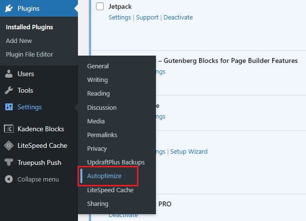 Open Autoptimize Plugin Settings