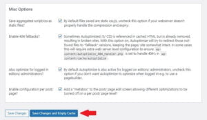 Save Settings of Autoptimize Plugin